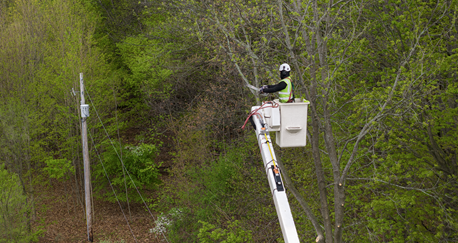 Consumers Energy worker clearing trees